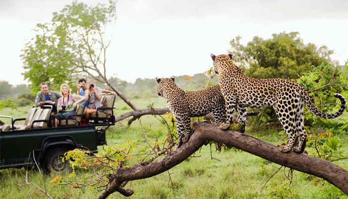 Tour Booking Kruger National Park